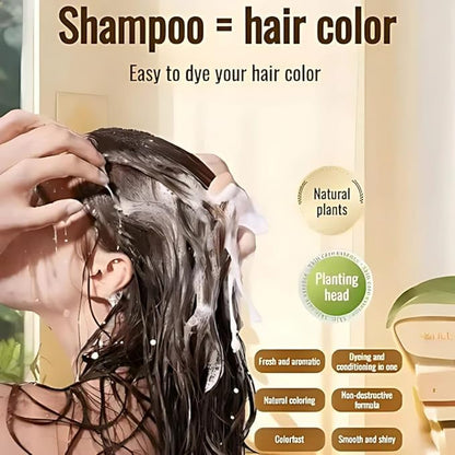 Long Lasting Natural Hair Dye Shampoo - 2
